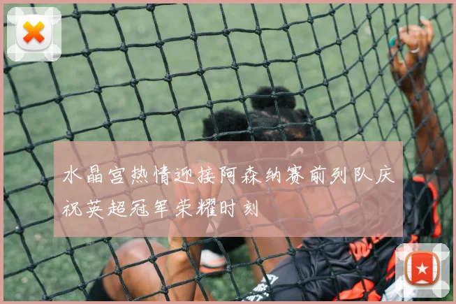 水晶宫热情迎接阿森纳赛前列队庆祝英超冠军荣耀时刻