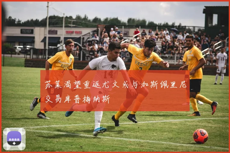苏莱渴望重返尤文或与加斯佩里尼交易库普梅纳斯